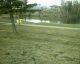 The spot