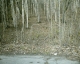 The path
