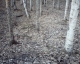 The patch