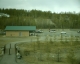 The parking lot