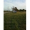 NAture walk5.jpg