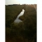 Nature walk8.jpg
