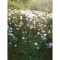 Nature walk9.jpg