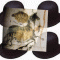 lascaux.gif