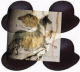 lascaux.gif