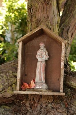 Saw this had been hung on a tree along the way.