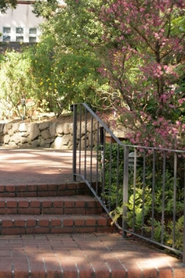 Investigating local park stop.