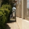Alleyway to something?
