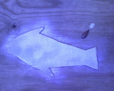 Step 2