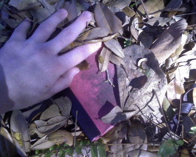 Further Investigation