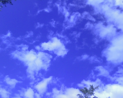 For comparison, the sky, seen without a tube.