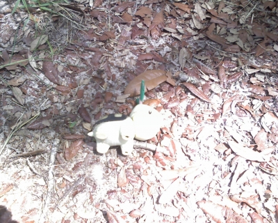 The Discovery Of Lord Terence