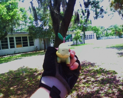 Lord Terence Testudines, The Terribly Terrifying Task Turtle