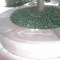 IMAGE_310.jpg IMAGE_310.jpg