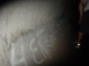 DSC00127.JPG