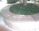 IMAGE_310.jpg IMAGE_310.jpg