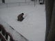 Excercise 1: Duck and Cover