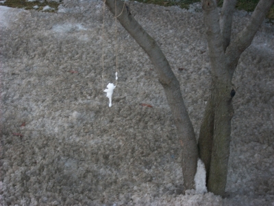 This trees going to need some love once the snow melts