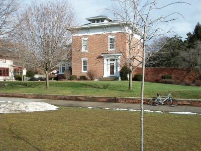 This tree's all alone in the foreground