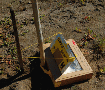 DSC_1047.gif DSC_1047.gif