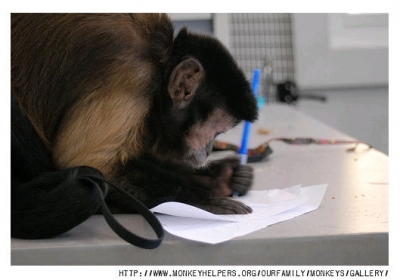 monkey.jpg