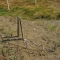 IMG_6820-2.jpg