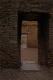 bonito-animation.gif