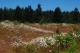 DSC_0922.jpg