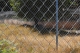 DSC_0962.jpg