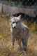 DSC_0999.jpg