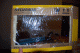 DSC_1026.gif