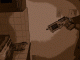 IMG_6185-s.gif