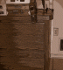IMG_6191-s.gif