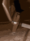 IMG_6198-s.gif