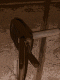 IMG_6199-s.gif