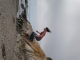 l_b6b8880120cbf3805aee823f133d6316.jpg