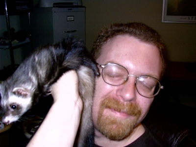 weasel slap