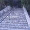 The Highest Place by Crusher Joe, Hemingway Kat The Highest Place by Crusher Joe, Hemingway Kat