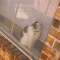 link4.gif