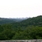 The view