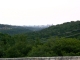 The view