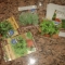 Old seeds