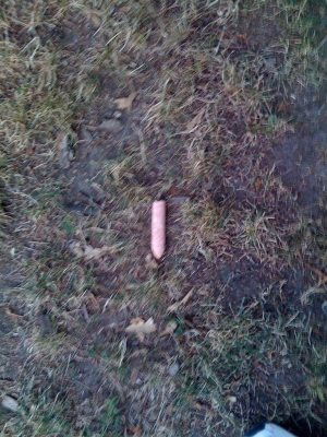 my instincts were good