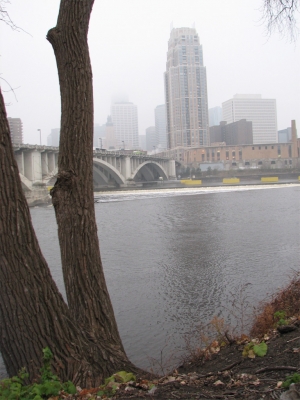 the end of the night the end of the night