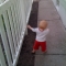 another fence!