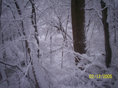 Snow. Yum.
