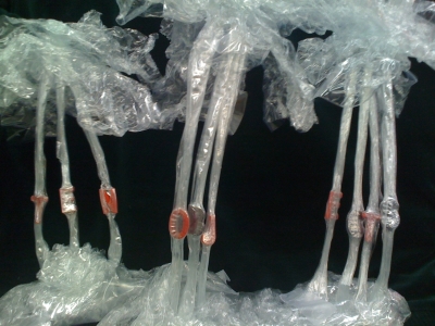 "ten objects" in ten trees