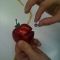 apple filling