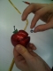 apple filling