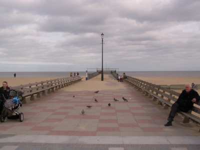 8 - Oh noes, it's all closed off and the pigeons are guarding the path